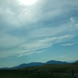 Meet your Posher, Madeline